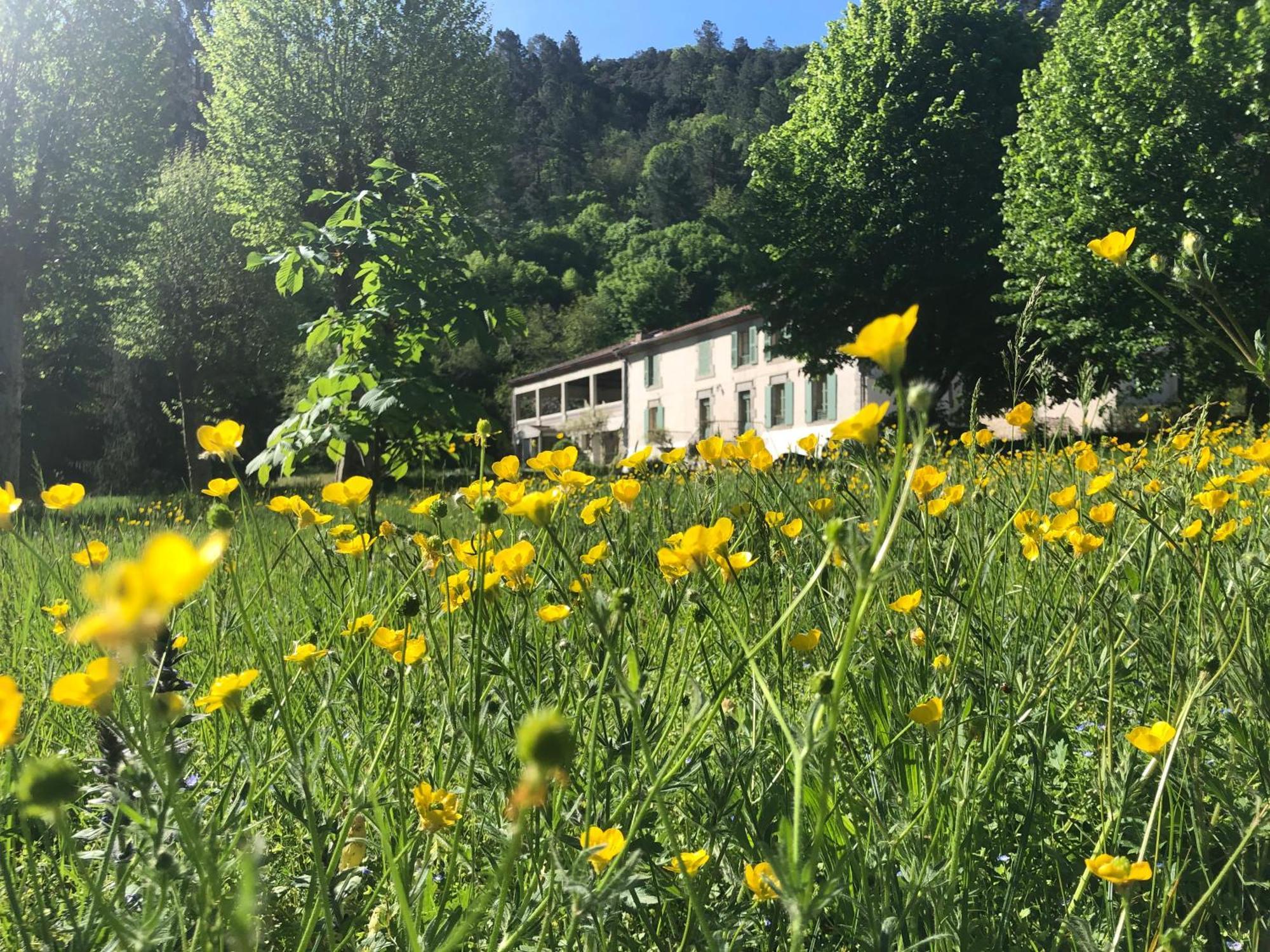 Chateau Du Fraissinet, 6 Gites Sleeping 2-8 Guests, Pool And River On Site La Tronche  エクステリア 写真