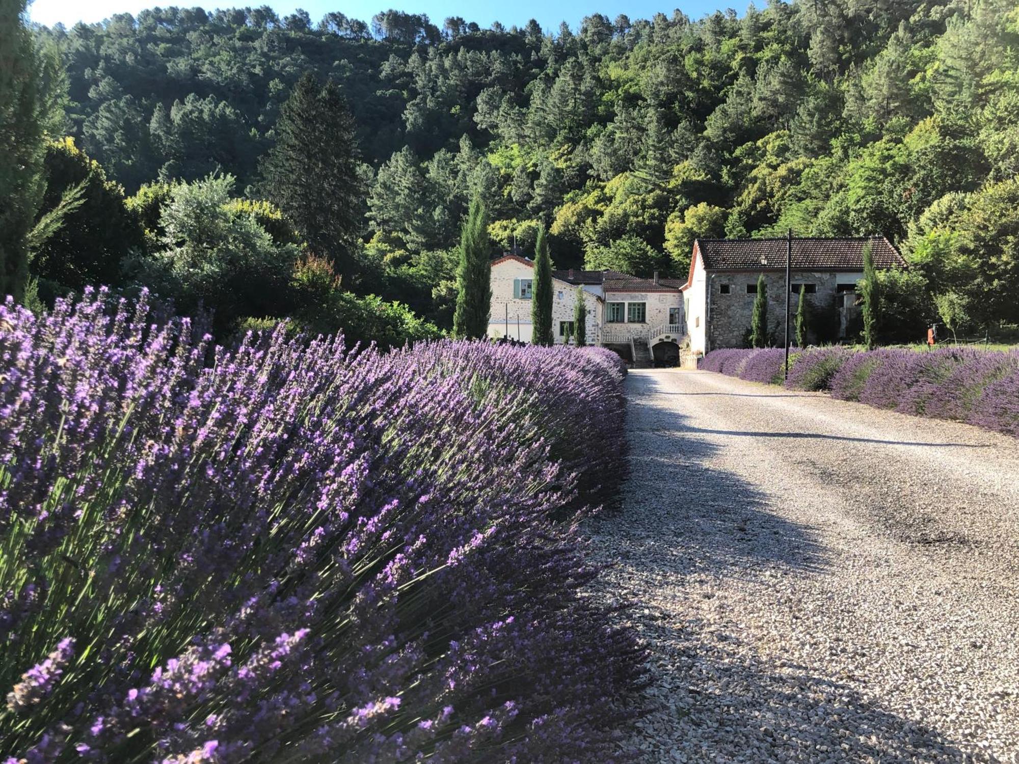 Chateau Du Fraissinet, 6 Gites Sleeping 2-8 Guests, Pool And River On Site La Tronche  エクステリア 写真